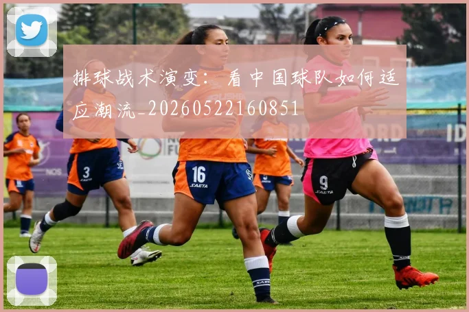 排球战术演变:看中国球队如何适应潮流_20260522160851